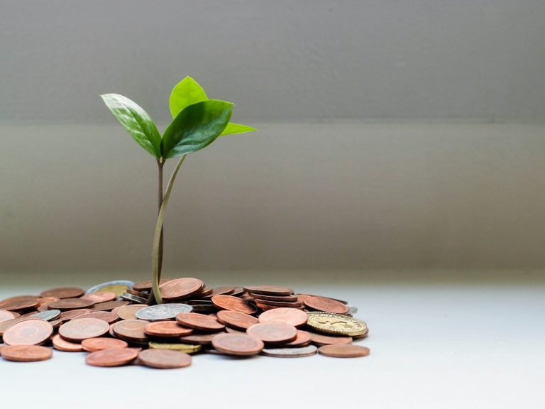 Plántula verde creciendo sobre monedas apiladas.Ahorro